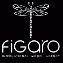 	FIGARO INTERNATIONAL MANAGEMENT GROUP SDN BHD 