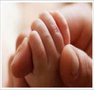 Life-Insurance
