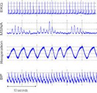 Biosignal Analyser
