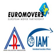 International-Moves